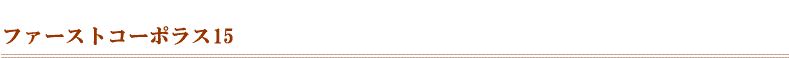 ファーストコーポラス15