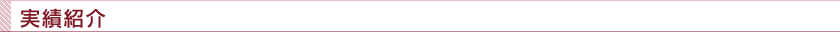 実績紹介